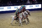 Quadrille - 00289